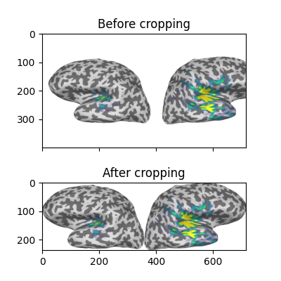 Before cropping, After cropping