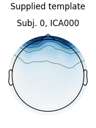 Supplied template, Subj. 0, ICA000