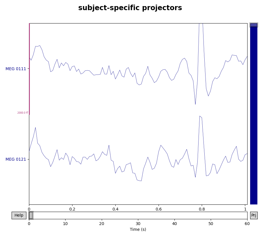 subject-specific projectors