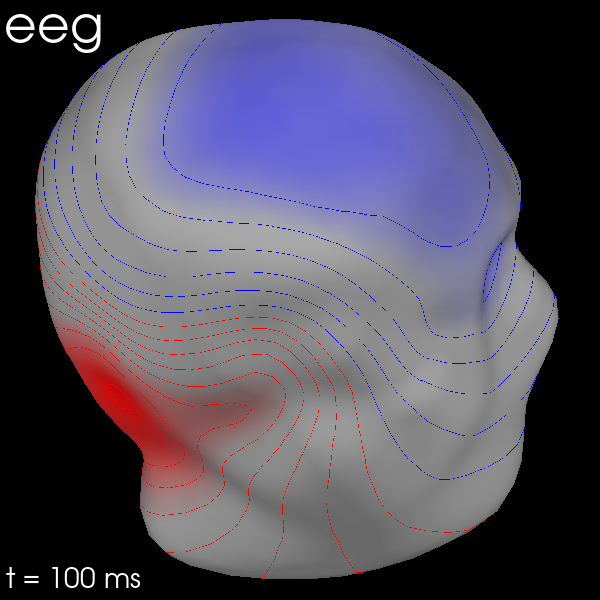 20 visualize evoked