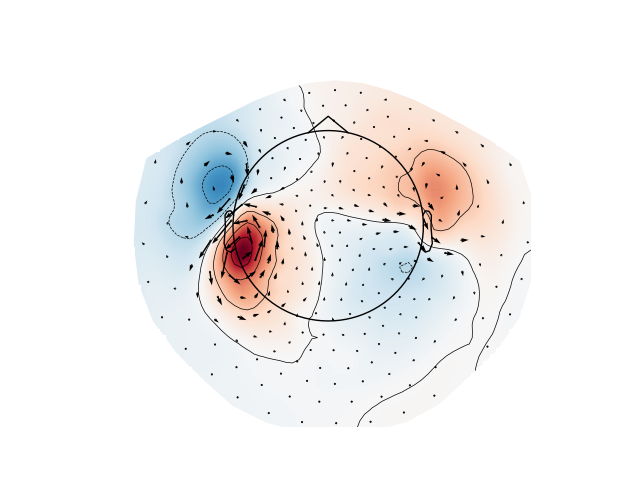 evoked arrowmap