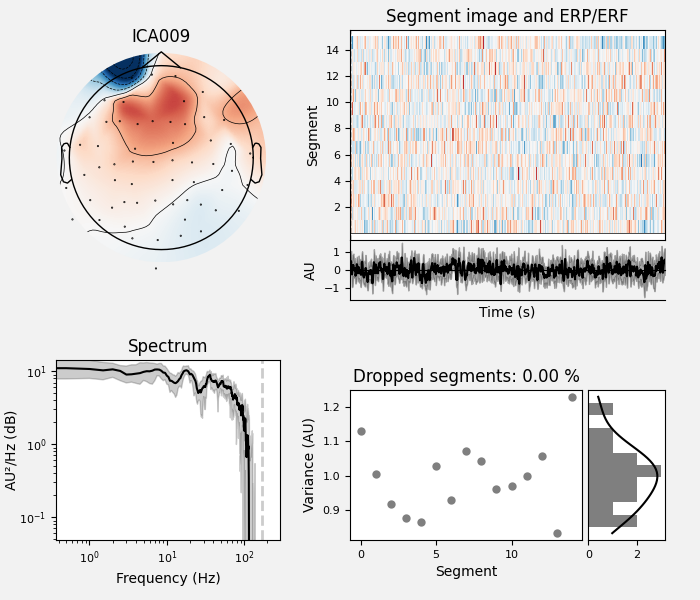 ICA009, Segment image and ERP/ERF, Spectrum, Dropped segments: 0.00 %