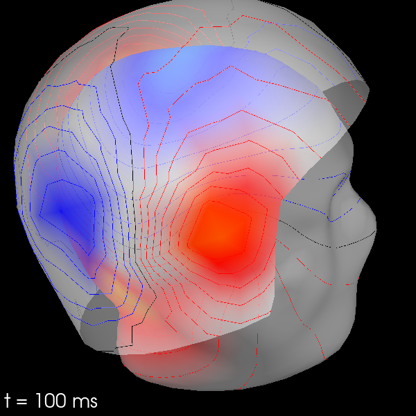 20 visualize evoked