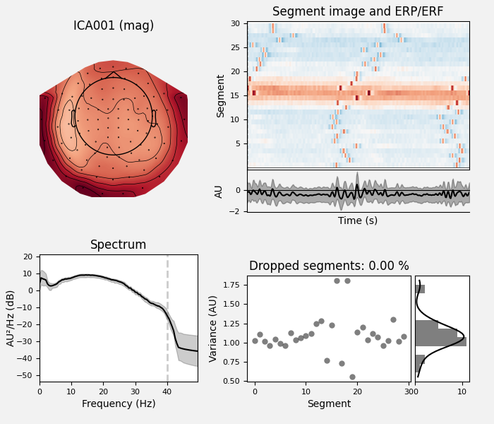 ICA001 (mag), Segment image and ERP/ERF, Spectrum, Dropped segments: 0.00 %