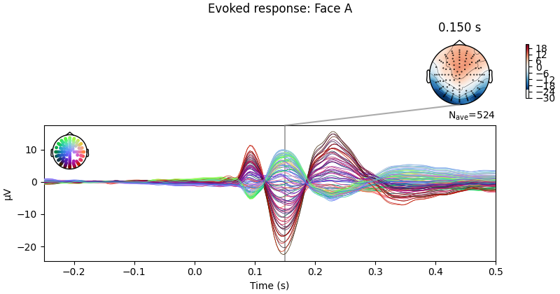 Evoked response: Face A, 0.150 s