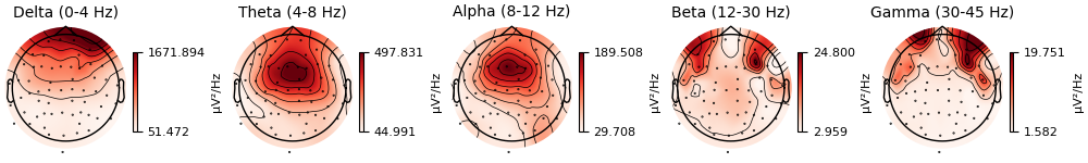 Delta (0-4 Hz), Theta (4-8 Hz), Alpha (8-12 Hz), Beta (12-30 Hz), Gamma (30-45 Hz)