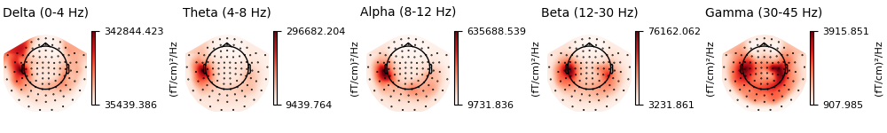 Delta (0-4 Hz), Theta (4-8 Hz), Alpha (8-12 Hz), Beta (12-30 Hz), Gamma (30-45 Hz)