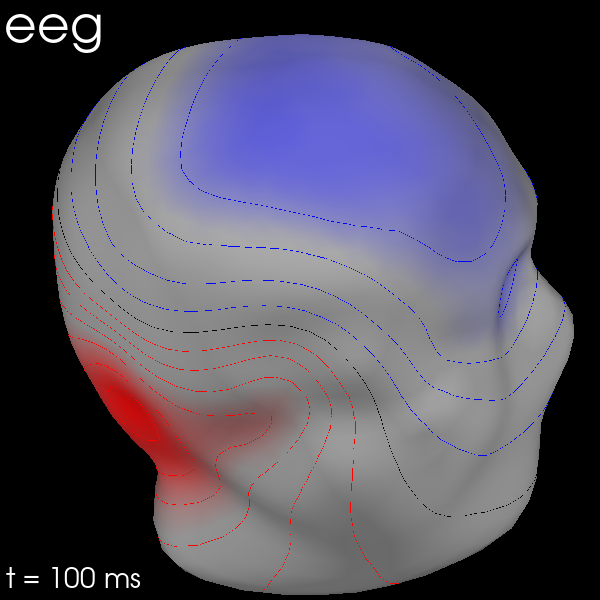 20 visualize evoked