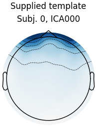 Supplied template, Subj. 0, ICA000