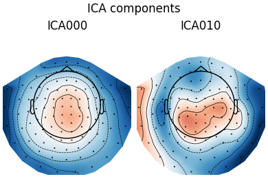 ICA components, ICA000, ICA010