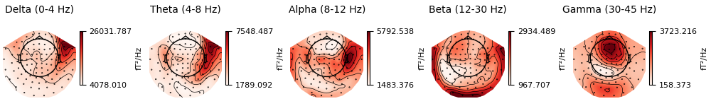 Delta (0-4 Hz), Theta (4-8 Hz), Alpha (8-12 Hz), Beta (12-30 Hz), Gamma (30-45 Hz)