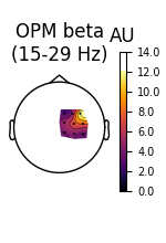 OPM beta (15-29 Hz), AU