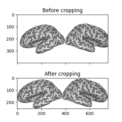 Before cropping, After cropping