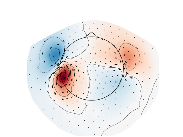 evoked arrowmap