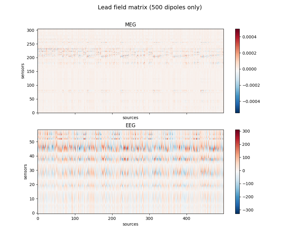 Lead field matrix (500 dipoles only), MEG, EEG