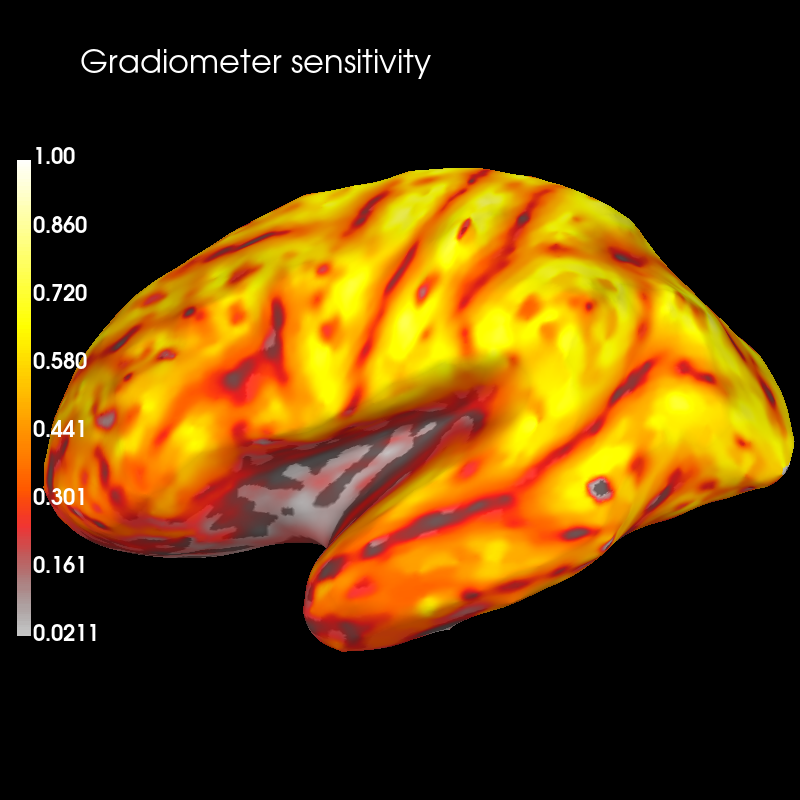 forward sensitivity maps