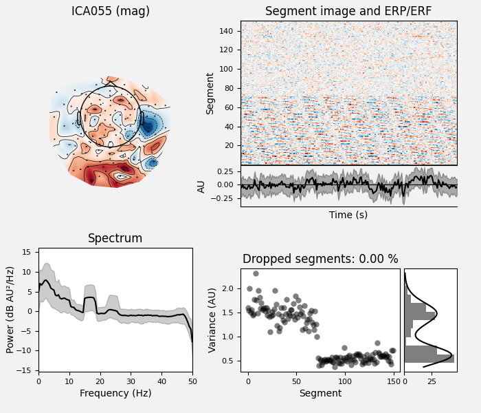 ICA055 (mag), Segment image and ERP/ERF, Spectrum, Dropped segments: 0.00 %