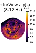 VectorView alpha (8-12 Hz), AU