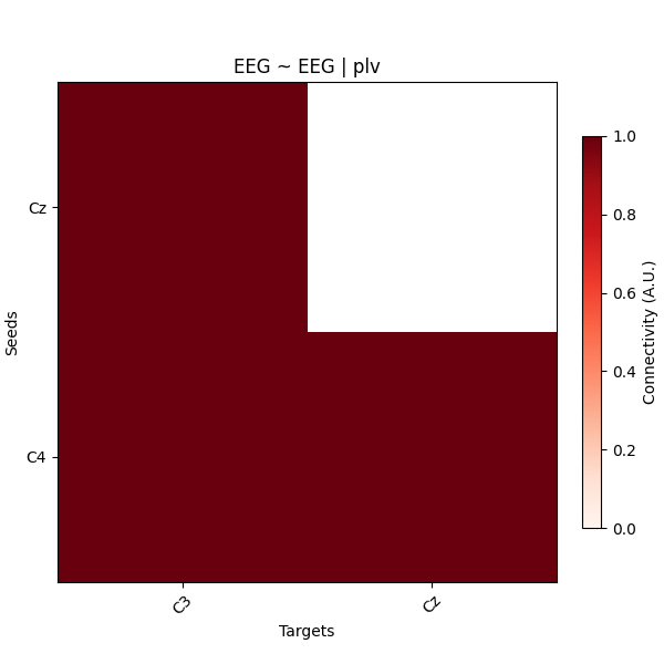 EEG ~ EEG | plv