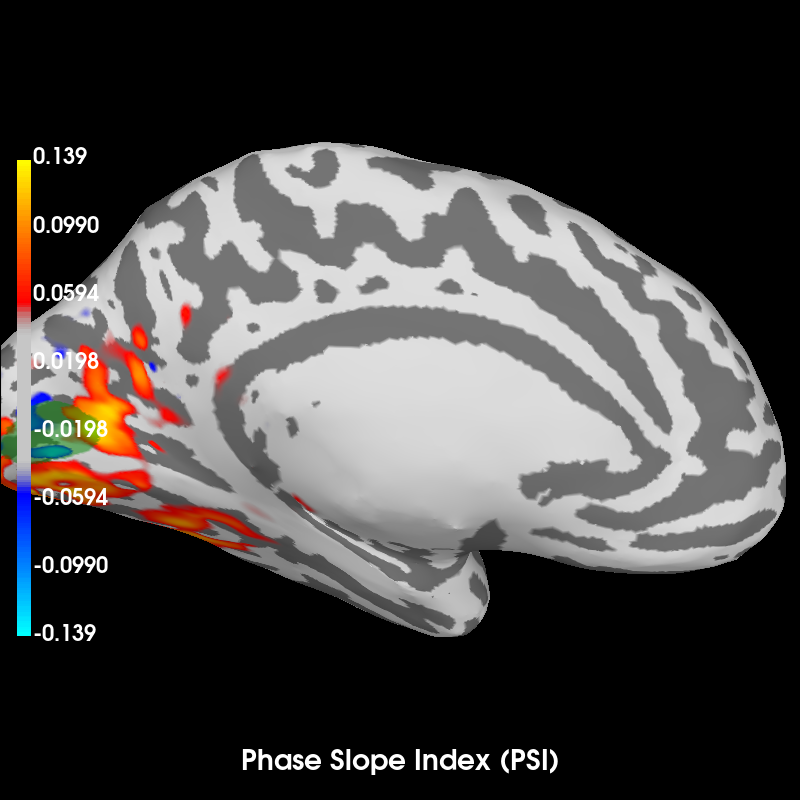 mne inverse psi visual