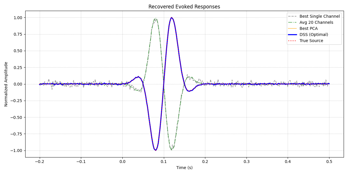 Recovered Evoked Responses