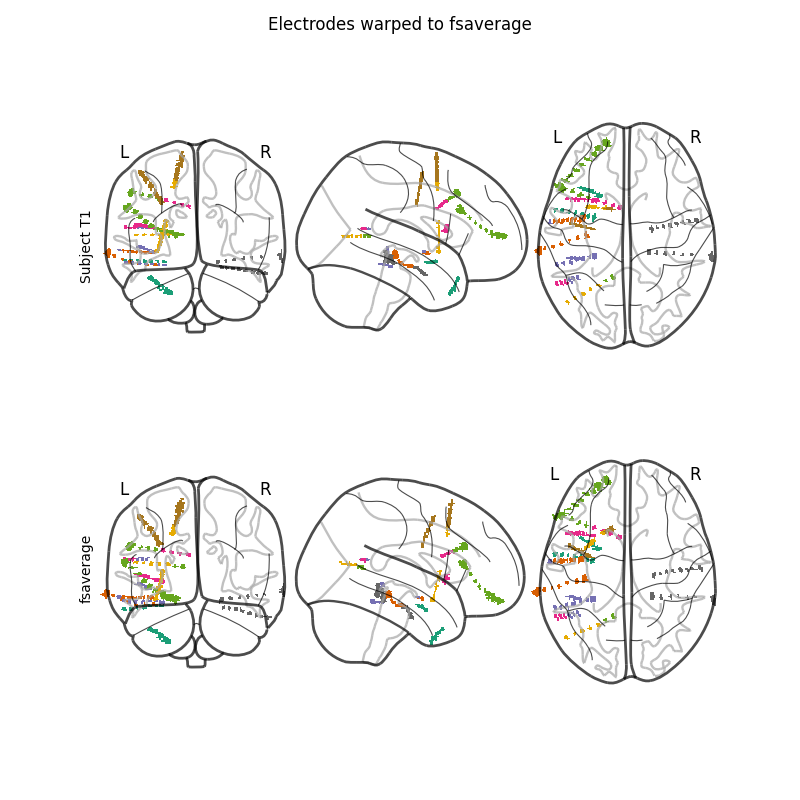 Electrodes warped to fsaverage