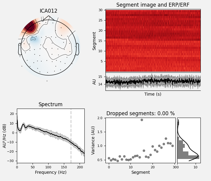 ICA012, Segment image and ERP/ERF, Spectrum, Dropped segments: 0.00 %