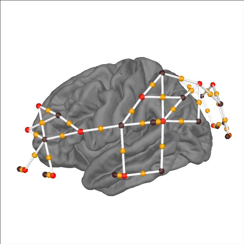 plot 70 visualise brain