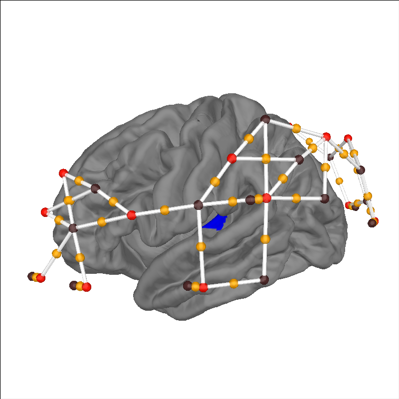 plot 70 visualise brain