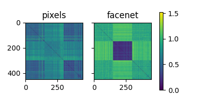 pixels, facenet