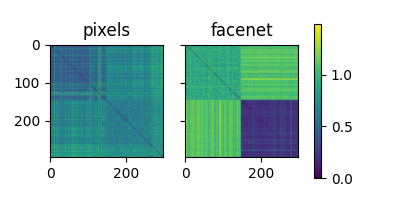 pixels, facenet