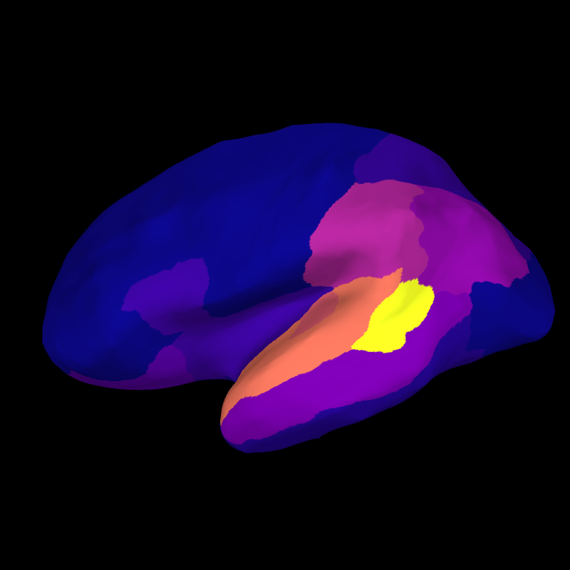 plot rsa roi