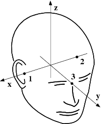 Head coordinate system