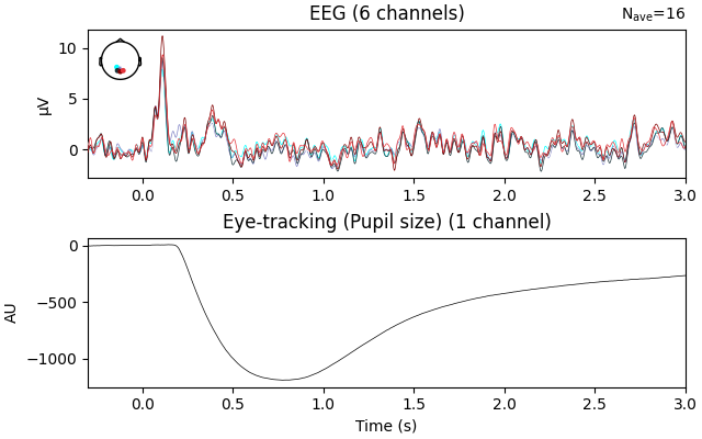 EEG (6 channels), Eye-tracking (Pupil size) (1 channel)
