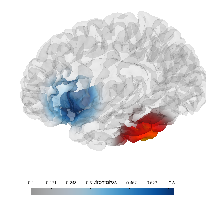 brain