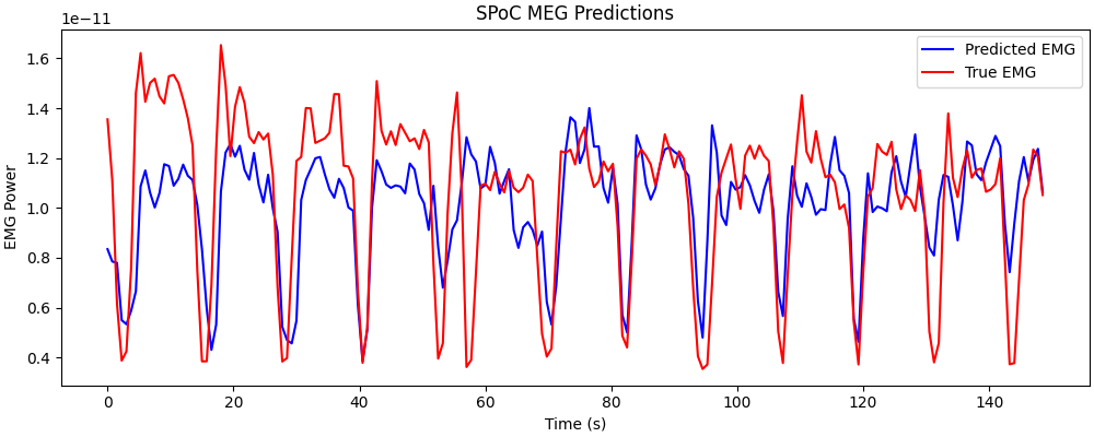 SPoC MEG Predictions